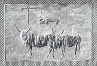muveszet_galeria_73.jpg
